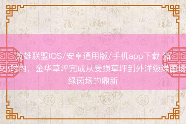 英雄联盟IOS/安卓通用版/手机app下载 浙媒：96小时内，金华草坪完成从受损草坪到外洋级绿茵场的鼎新