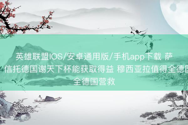 英雄联盟IOS/安卓通用版/手机app下载 萨默尔：信托德国谢天下杯能获取得益 穆西亚拉值得全德国营救